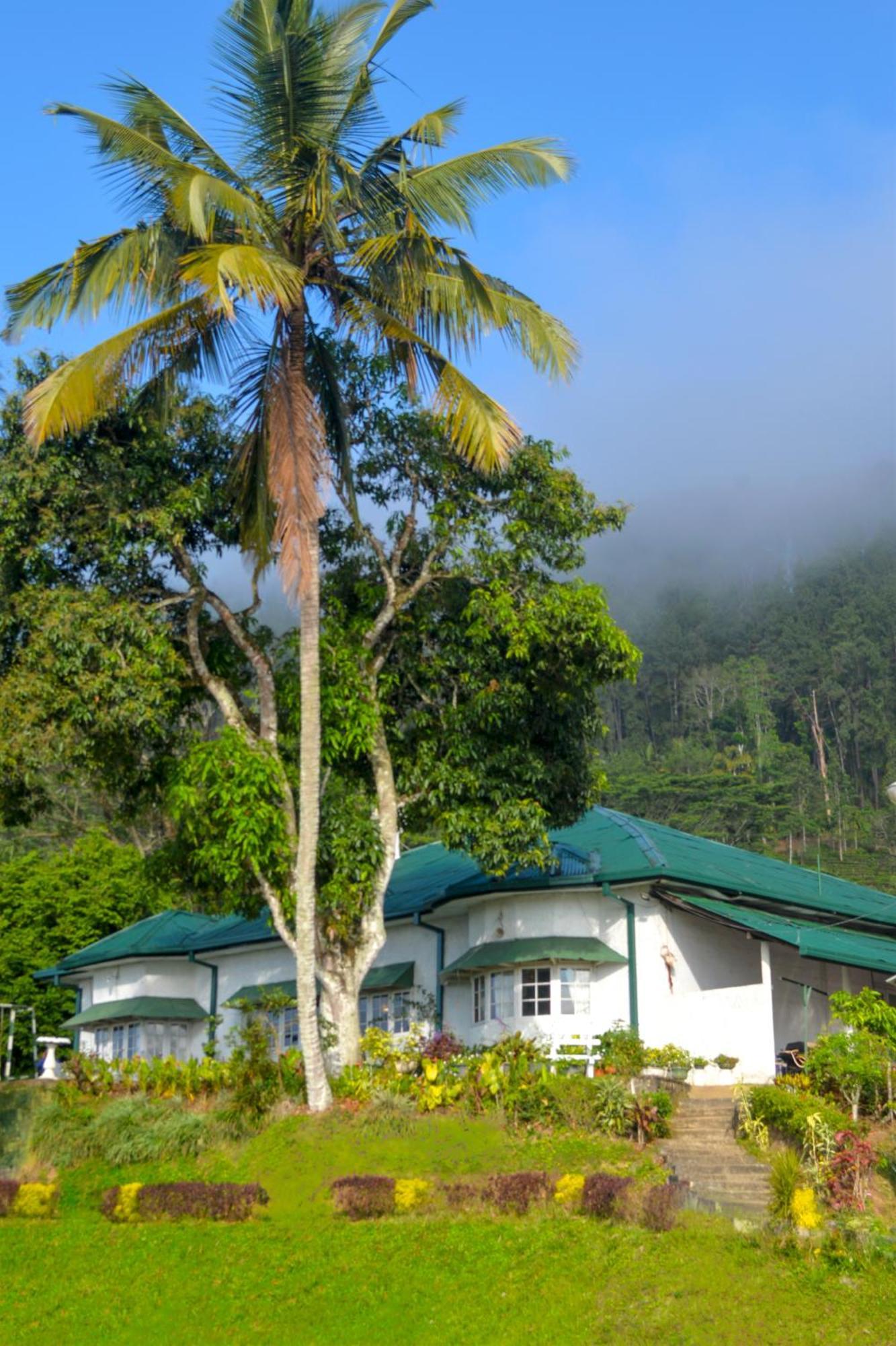 Hatale Tea Estate Bungalow Madulkele Buitenkant foto